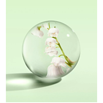 Molton Brown Lily & Magnolia Blossom Bath & Shower Gel 300ml