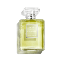 Chanel No19 Poudre Eau de Parfum 100ml