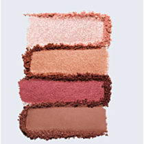 Estee Lauder Pure Color Envy Luxe Eyeshadow Quad - Shade : 01 Rebel Petals