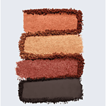 Estée Lauder Pure Color Envy Luxe Eyeshadow Quad - Shade : 08 Wild Earth