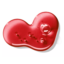 Molton Brown Rosa Absolute Bath & Shower Gel 300ml