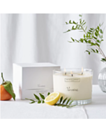 The White Company Verveine Large Scented Candle 770GM